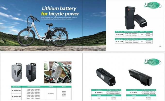Batteria ricaricabile a ioni di litio da 36V Samsung Zhenlong Phylion Ebike Battery Pack 9